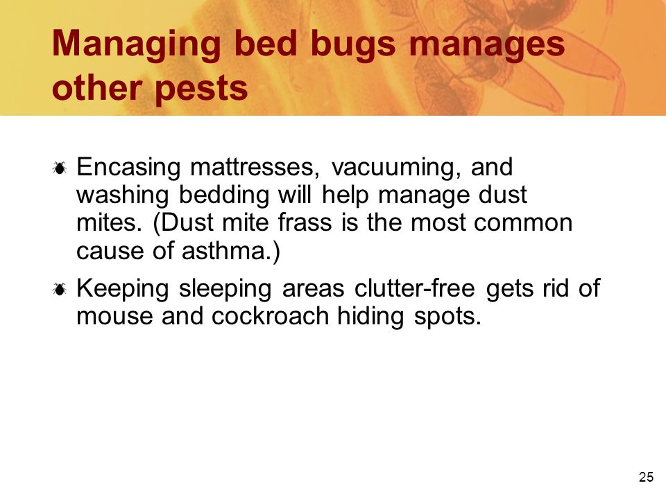 Managing bed bugs manages other pests