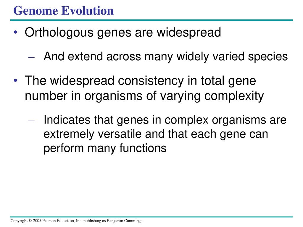 Orthologous genes are widespread
