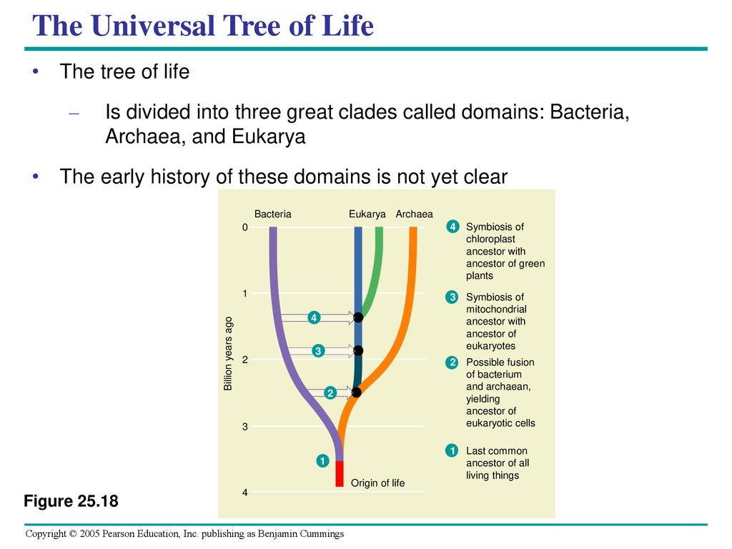The Universal Tree of Life