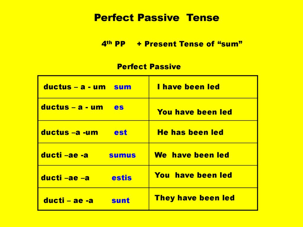 Verb Review: Perfect System - ppt download