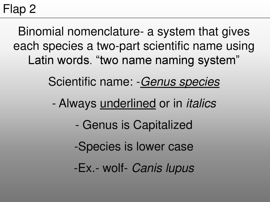 Taxonomy is the science of naming and classifying organisms. - ppt download