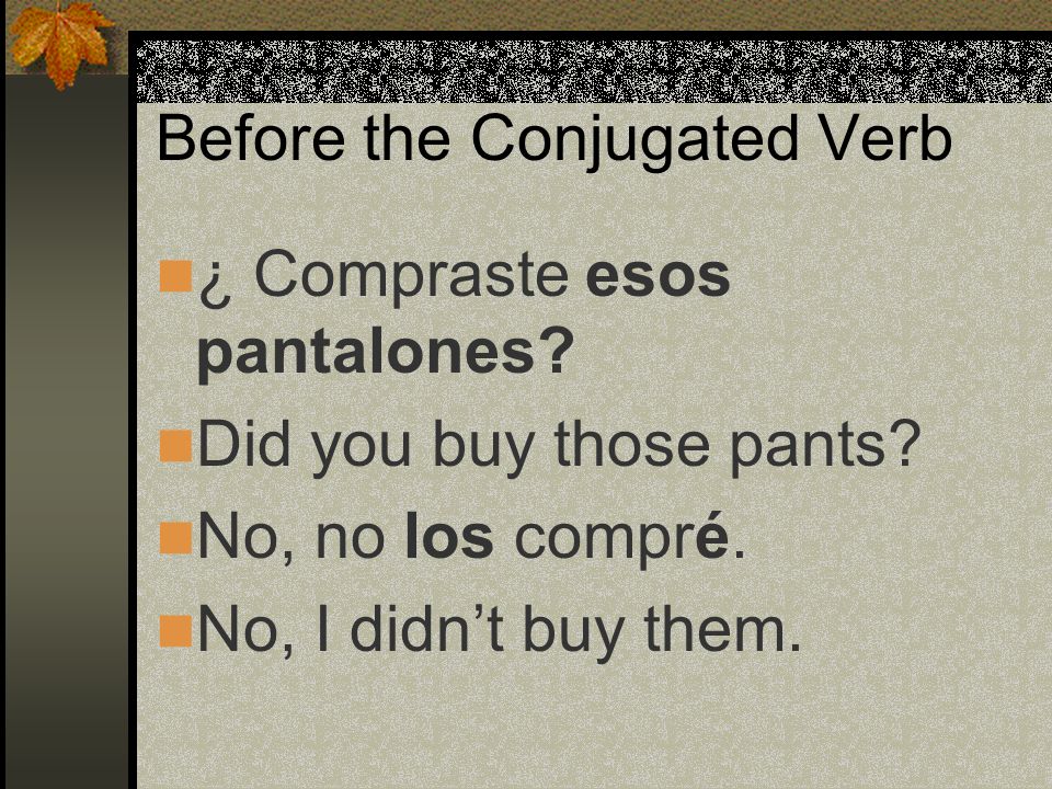 Before the Conjugated Verb