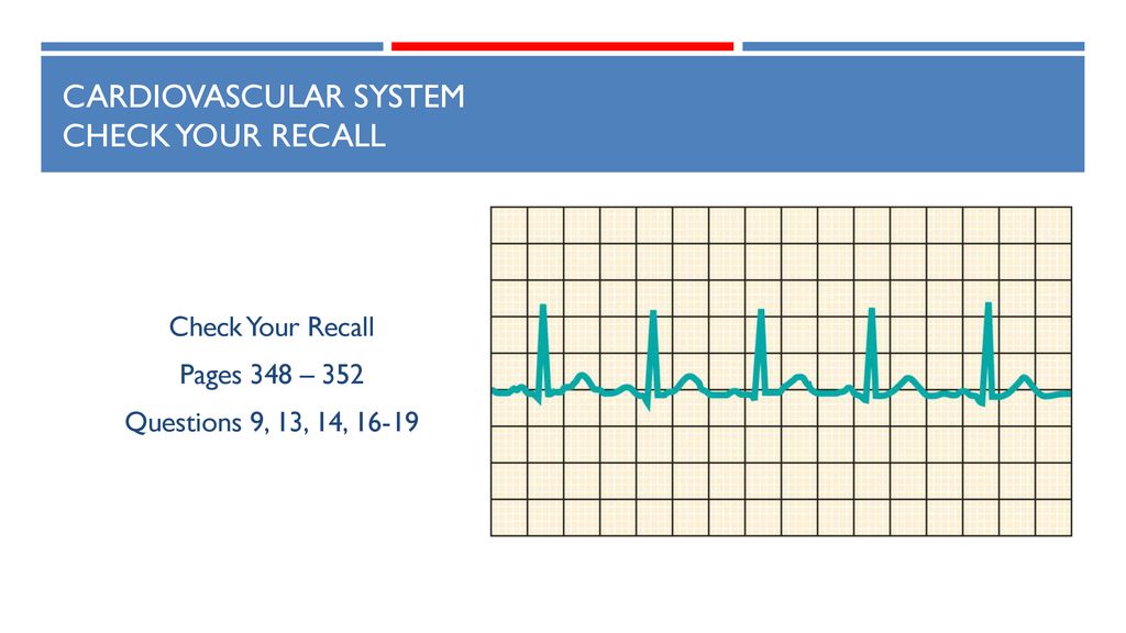 CARDIOVASCULAR SYSTEM CHECK YOUR RECALL