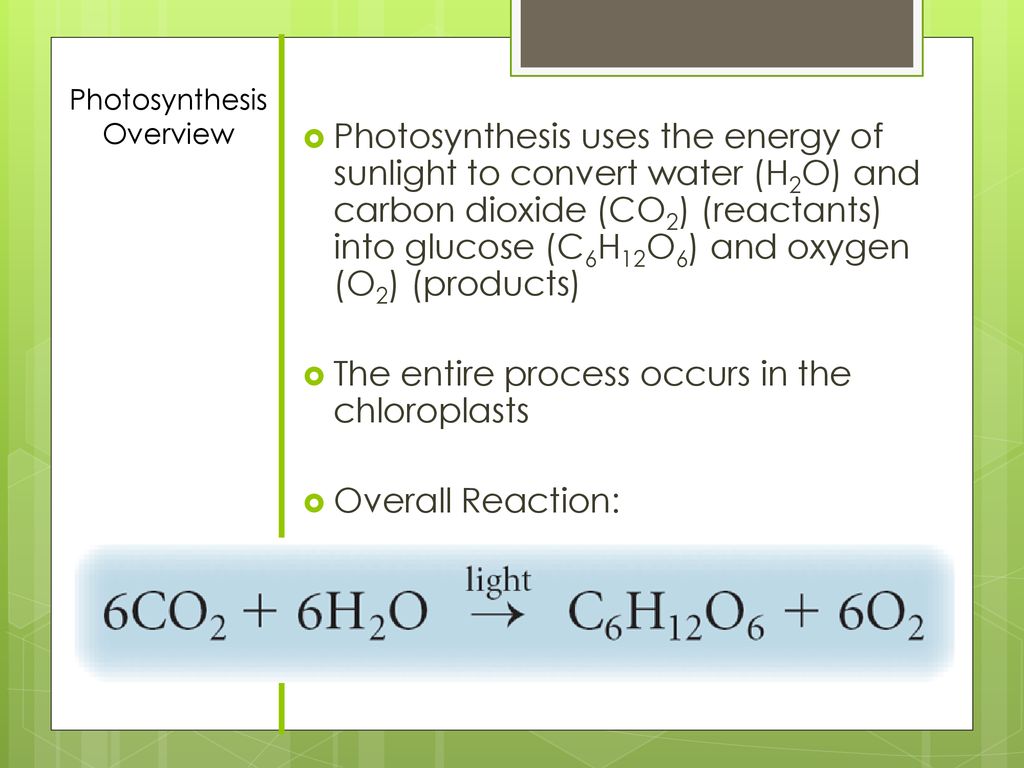 Chapter 8 Section 2 Photosynthesis. - ppt download