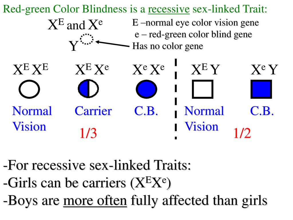 Learning Objectives How To Read Pedigree Diagrams Properly Ppt