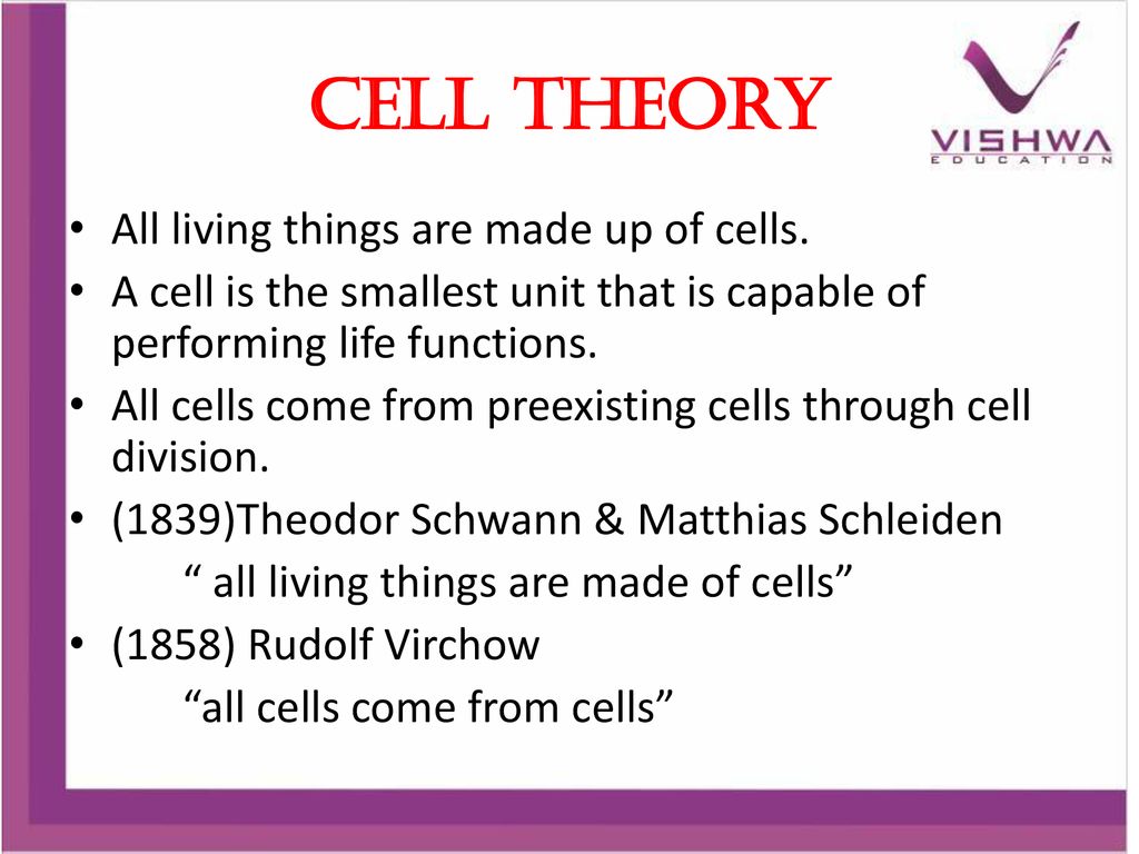 Cell Theory All living things are made up of cells.