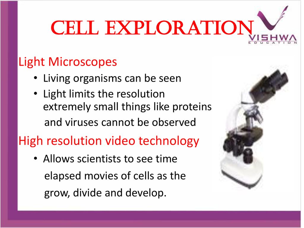 Cell Exploration Light Microscopes High resolution video technology