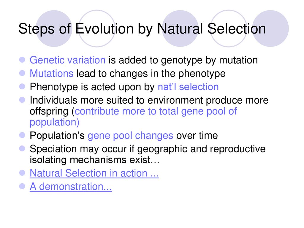 Steps of Evolution by Natural Selection