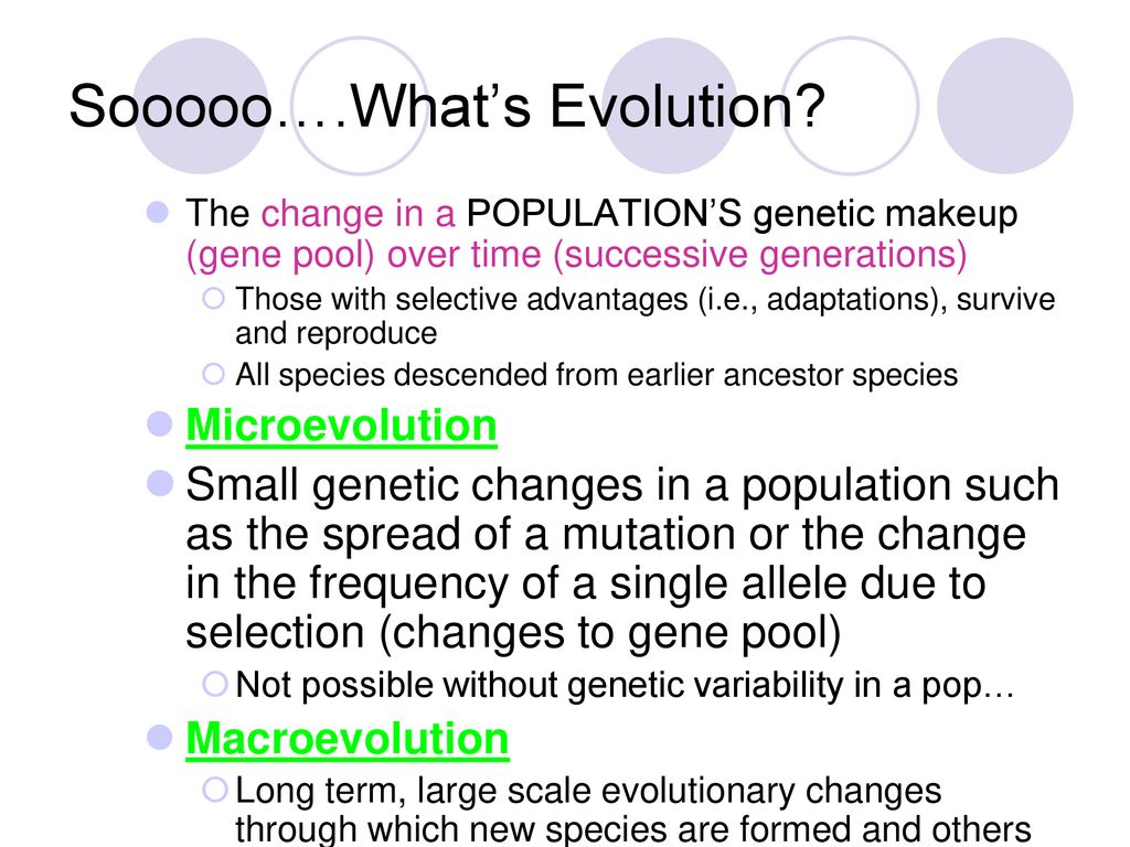 Sooooo….What’s Evolution
