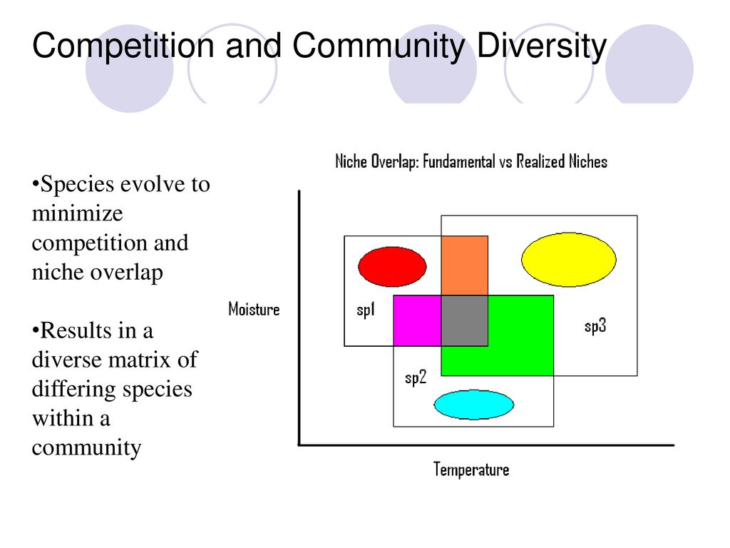 Competition and Community Diversity
