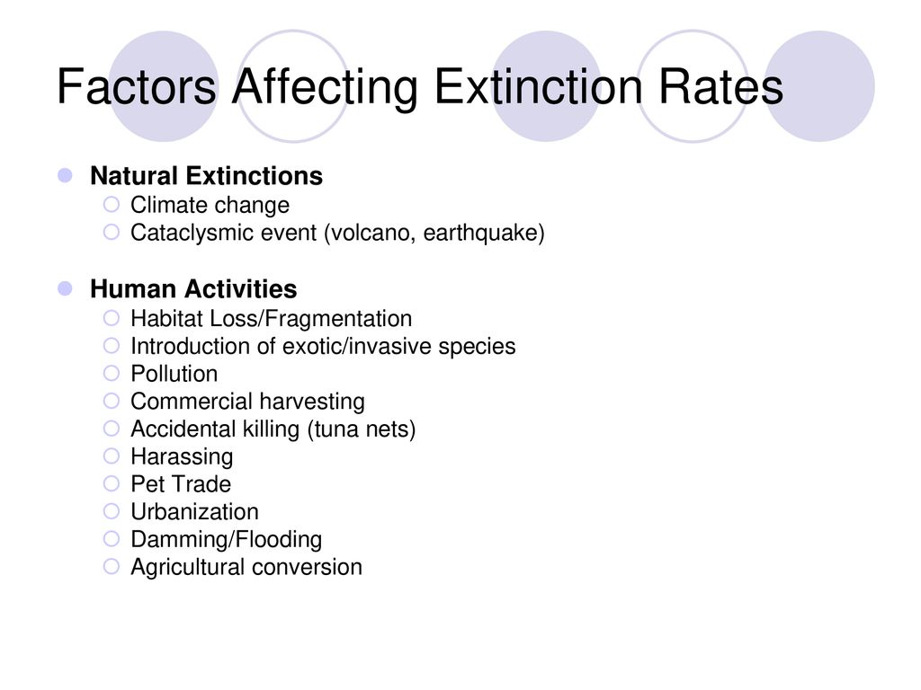 Factors Affecting Extinction Rates