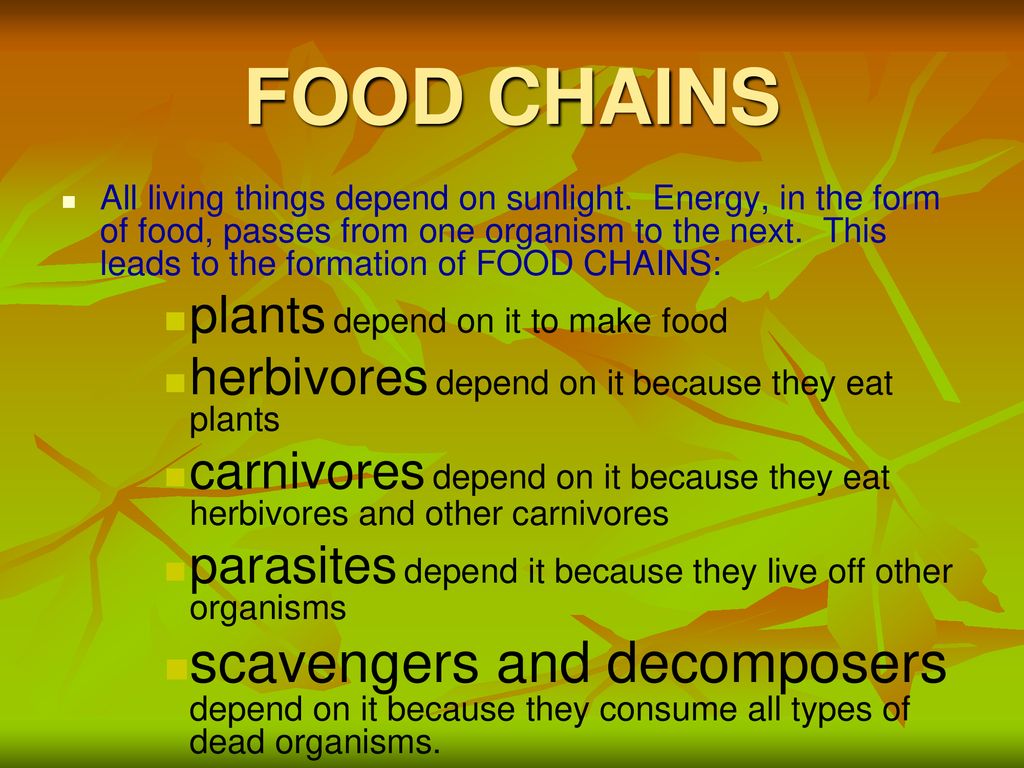 ENERGY MOVEMENT THROUGH THE BIOSPHERE Biology Diagrams