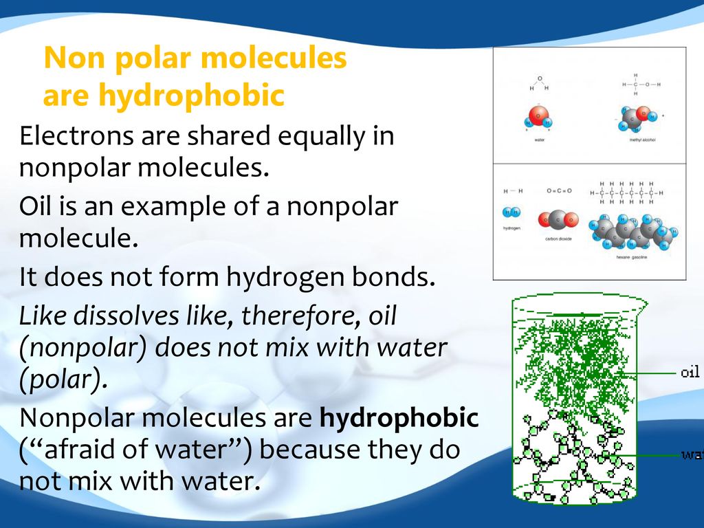 Non polar molecules are hydrophobic