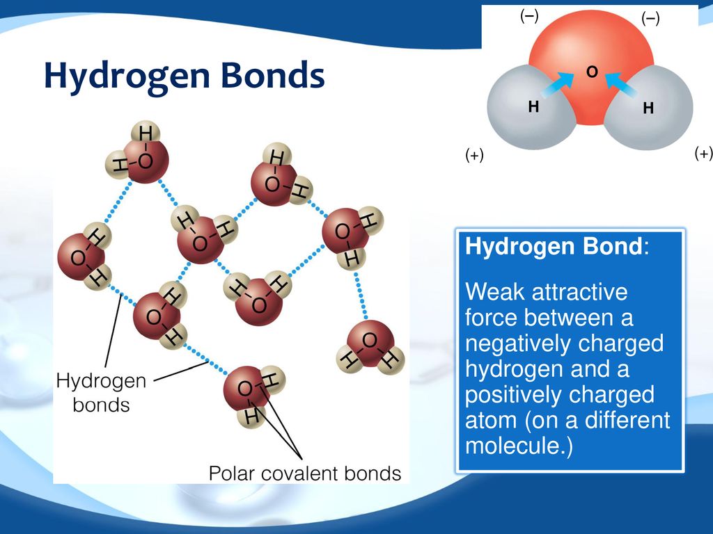 Hydrogen Bonds Hydrogen Bond: