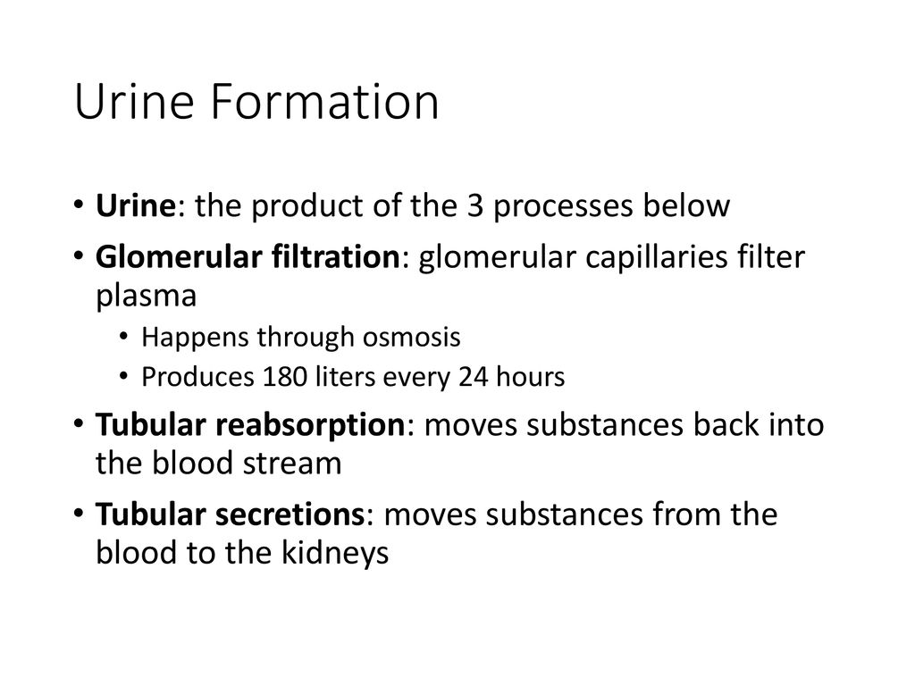 Urine Formation Urine: the product of the 3 processes below