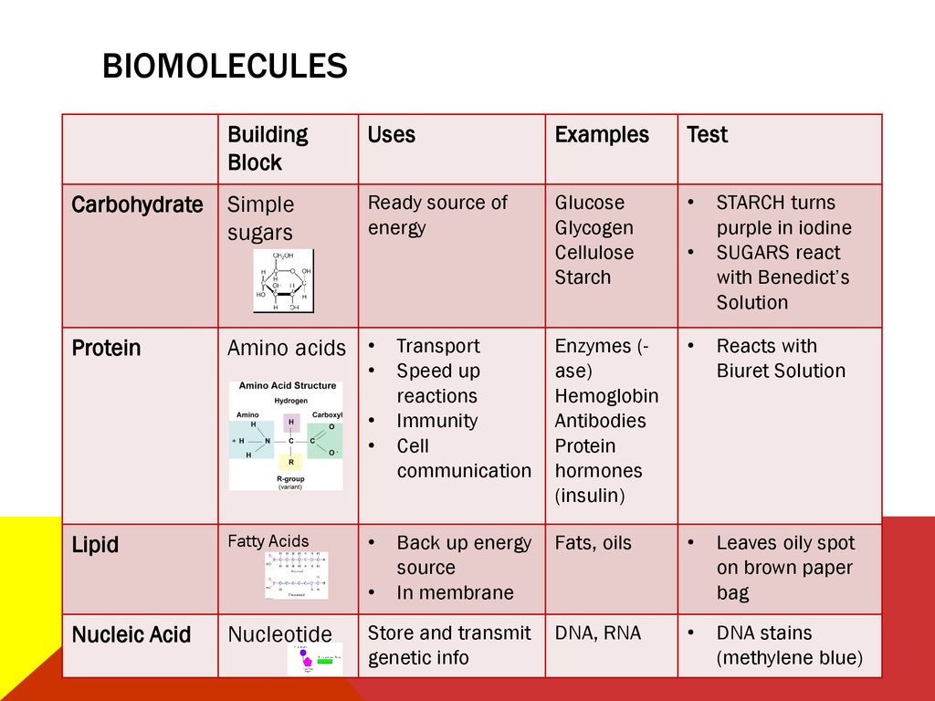 you-asked-for-it-biology-review-ppt-download