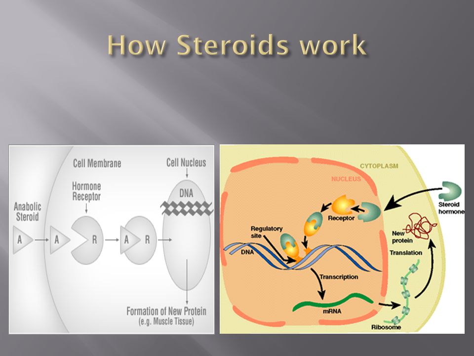 oral steroids - Pay Attentions To These 25 Signals