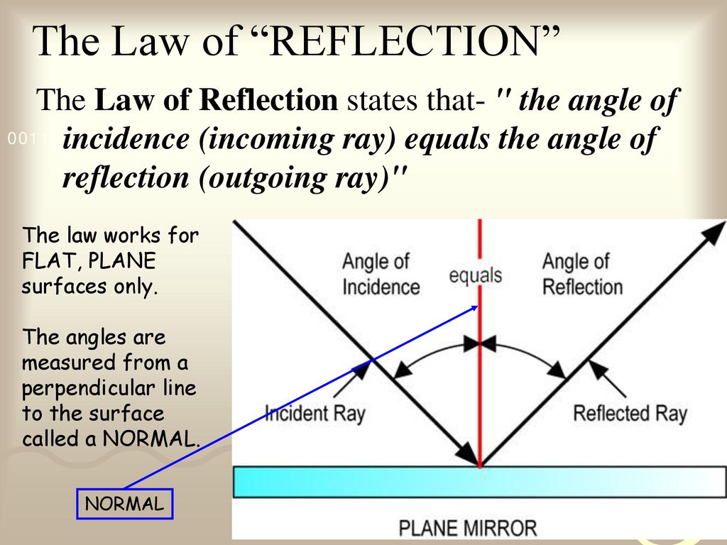 Measuring angles with a protractor - ppt download