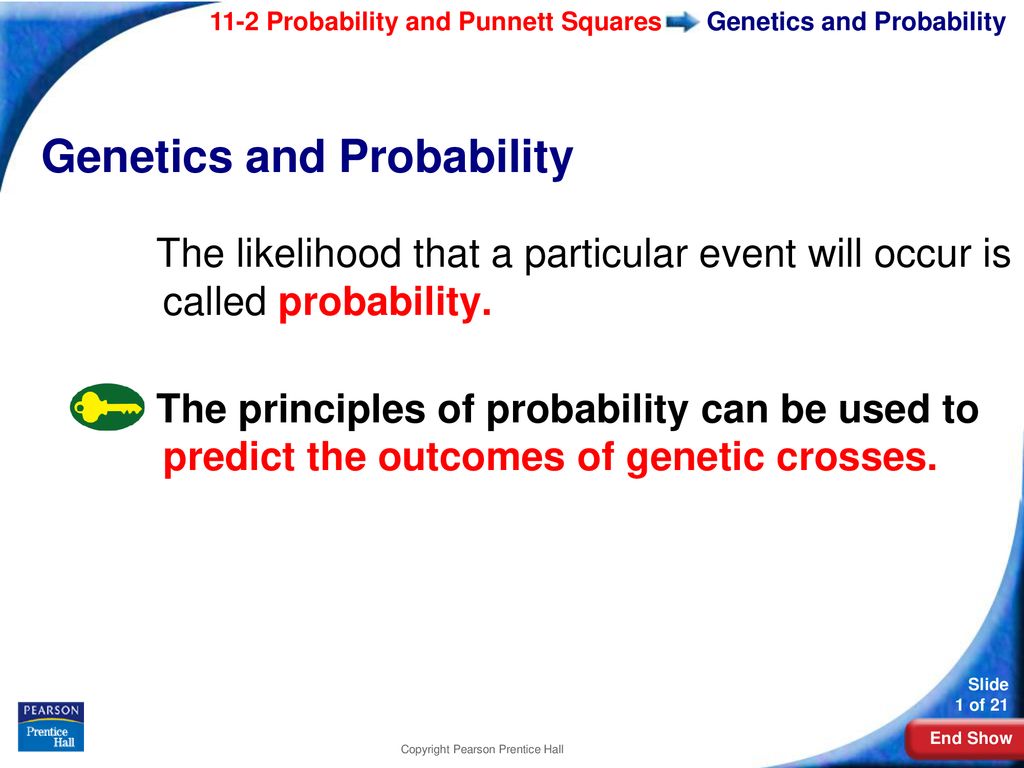 Genetics and probability ppt download