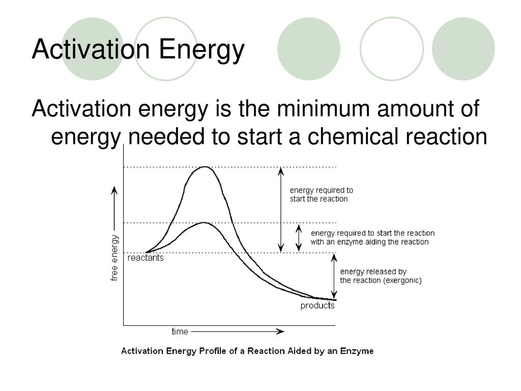 Chemical Reactions, Energy, and Enzymes - ppt download