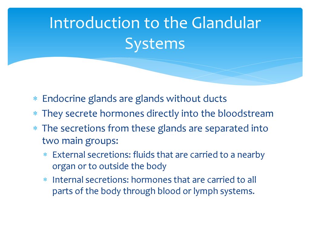 The Endocrine System Chapter ppt download