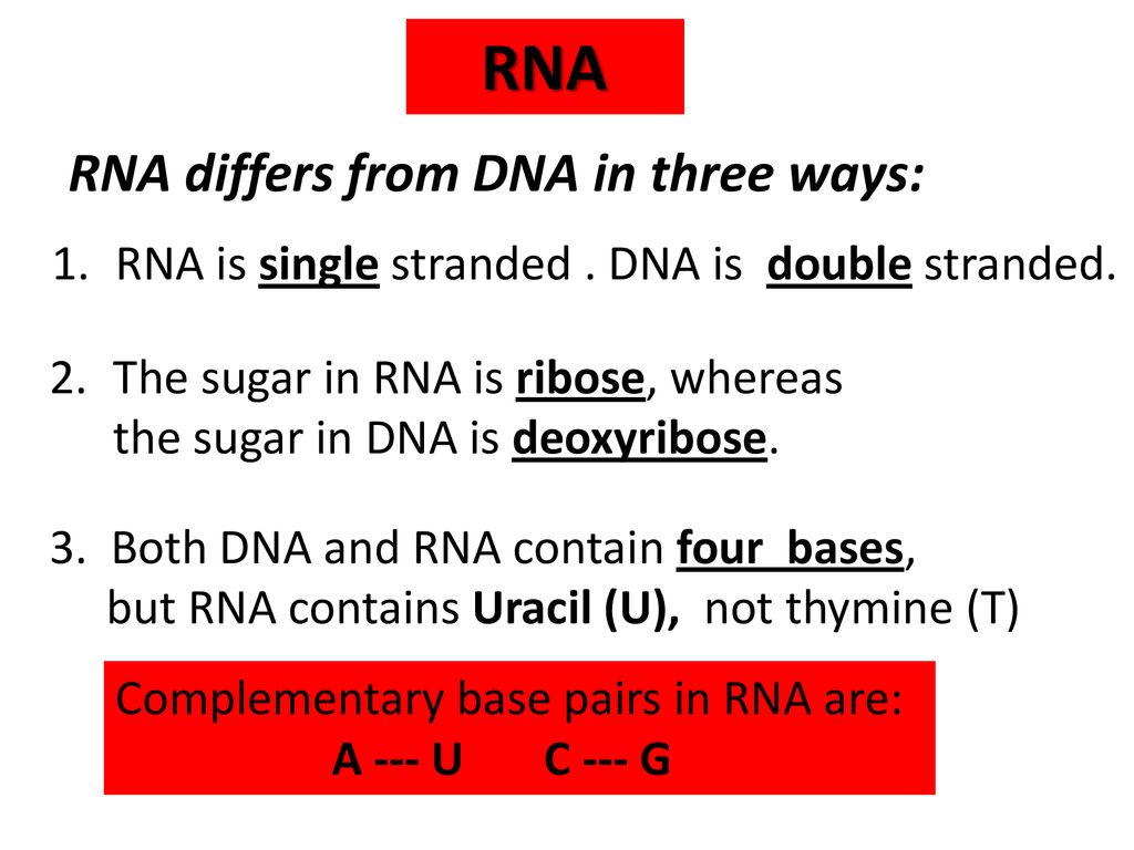 Transcription dna mrna ppt download