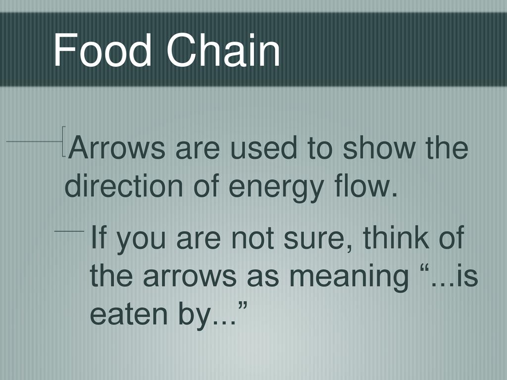 Food Chain Arrows are used to show the direction of energy flow.