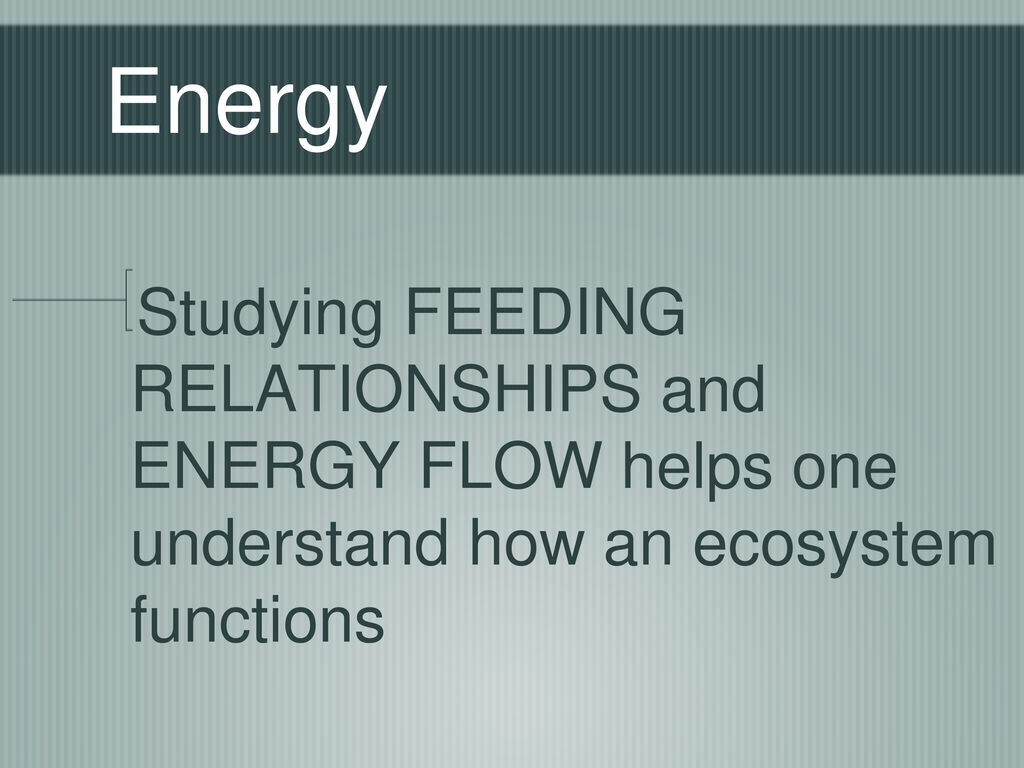 Energy Studying FEEDING RELATIONSHIPS and ENERGY FLOW helps one understand how an ecosystem functions.