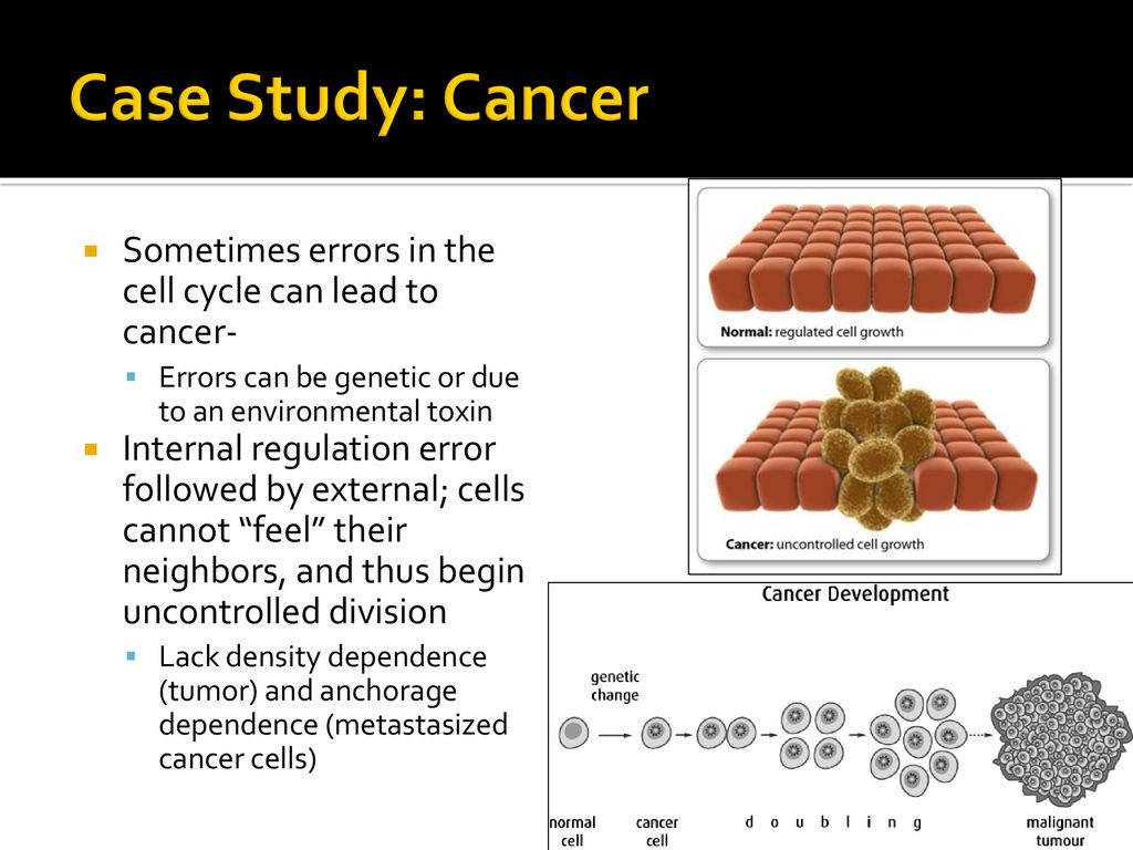 The Cell Cycle How does a cell grow and divide Biology Diagrams