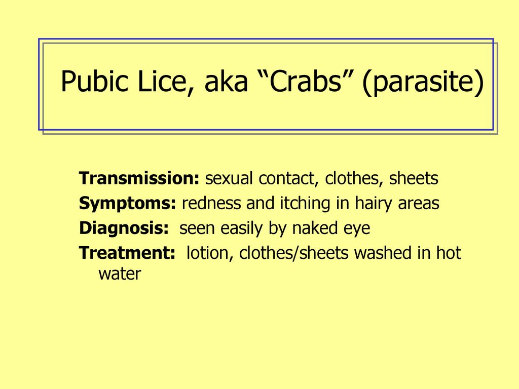 Pubic Lice, aka Crabs (parasite)