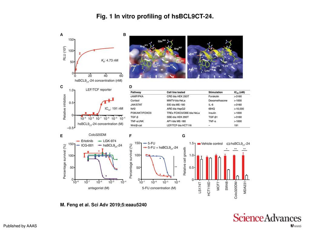 Pharmacological inhibition of β-catenin/BCL9 interaction overcomes ...