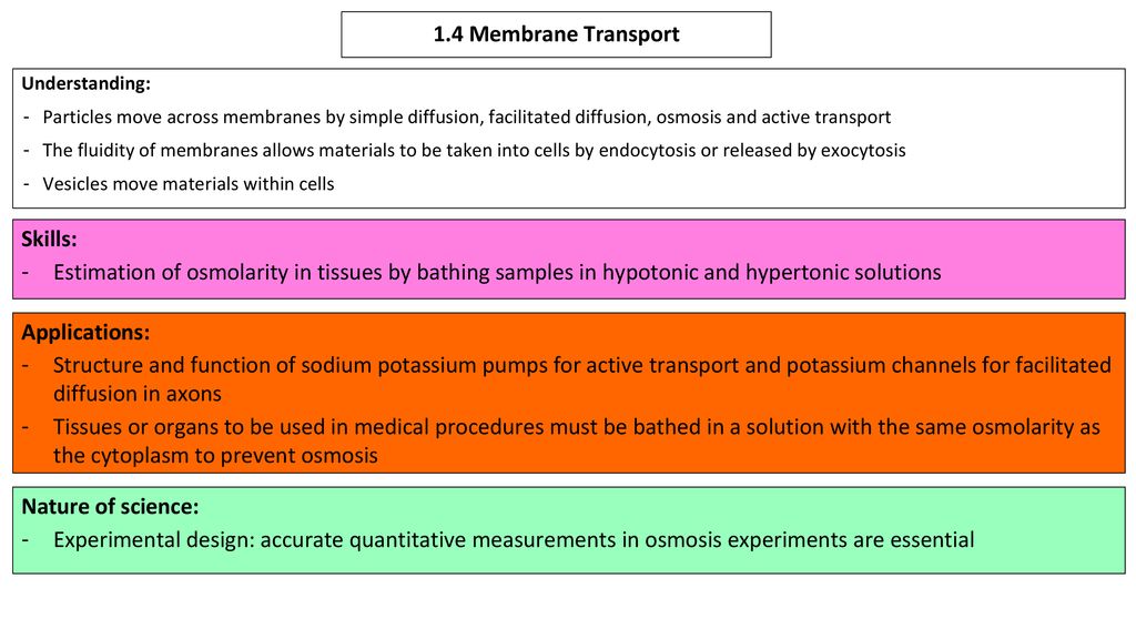 1-4-membrane-transport-skills-ppt-download