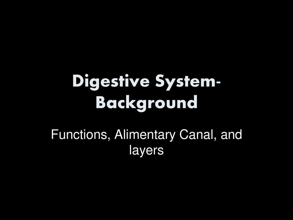 Digestive System-Background