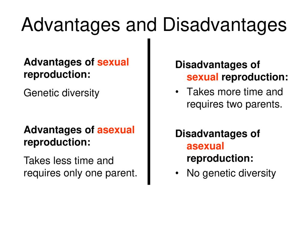 Explain how sexual reproduction increases genetic diversity in many species of plants and animals