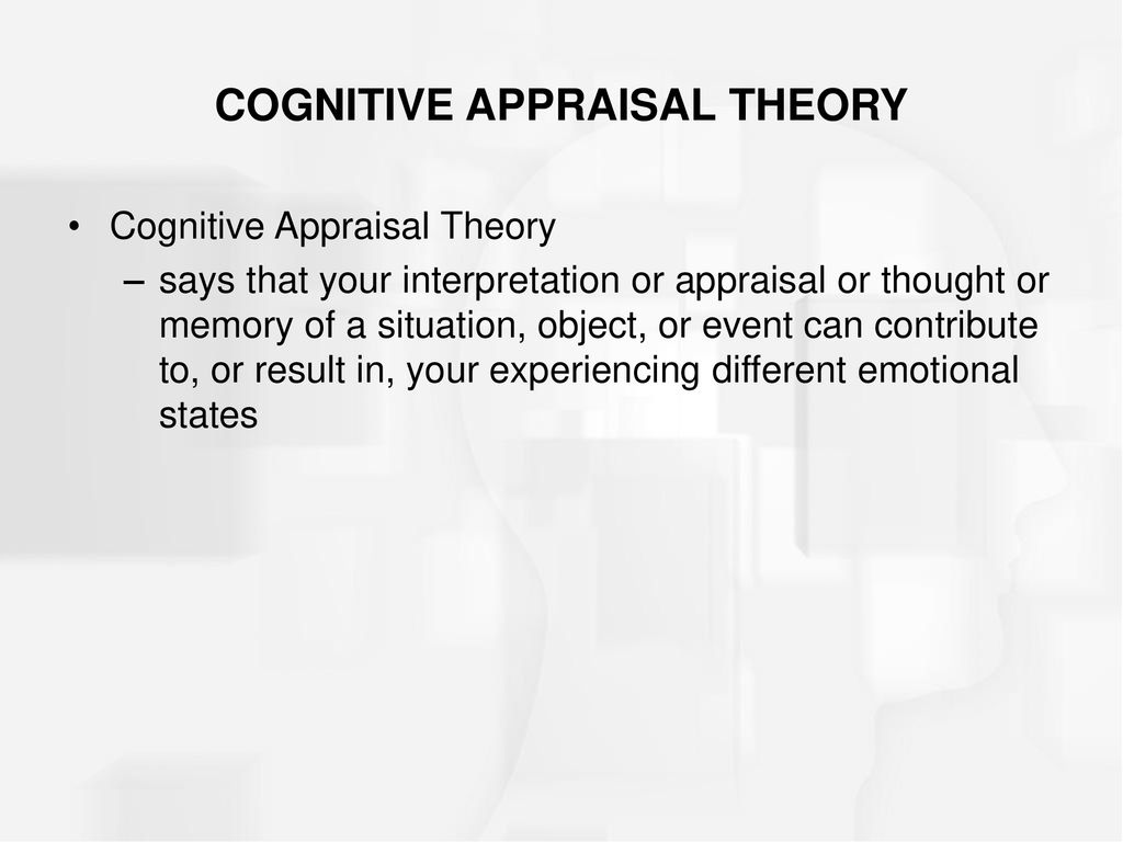 Cognitive Appraisal Theory Of Emotion Flow Chart