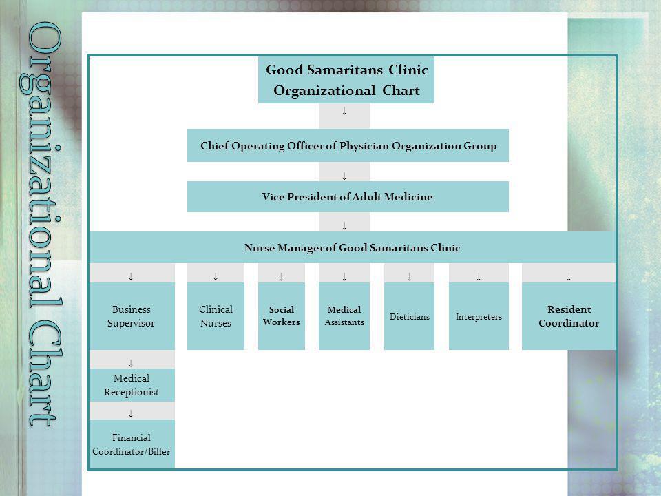 Clinic Organizational Chart