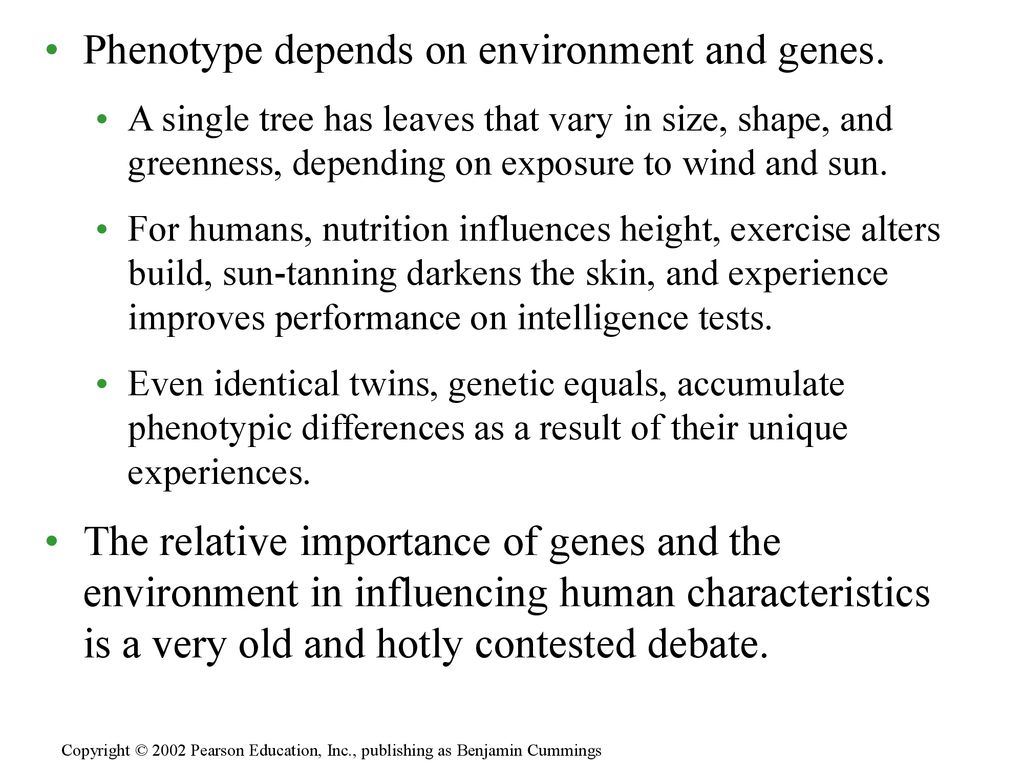 CHAPTER 14 MENDEL AND THE GENE IDEA ppt download