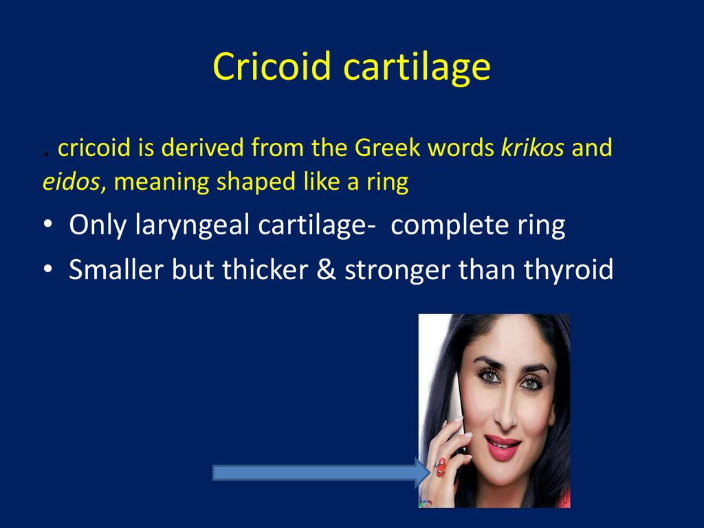 Cricoid cartilage . cricoid is derived from the Greek words krikos and eidos, meaning shaped like a ring.