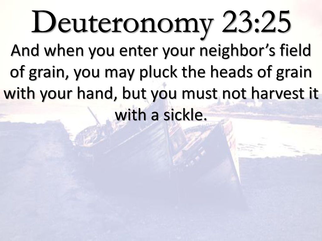 Deuteronomy 23:25