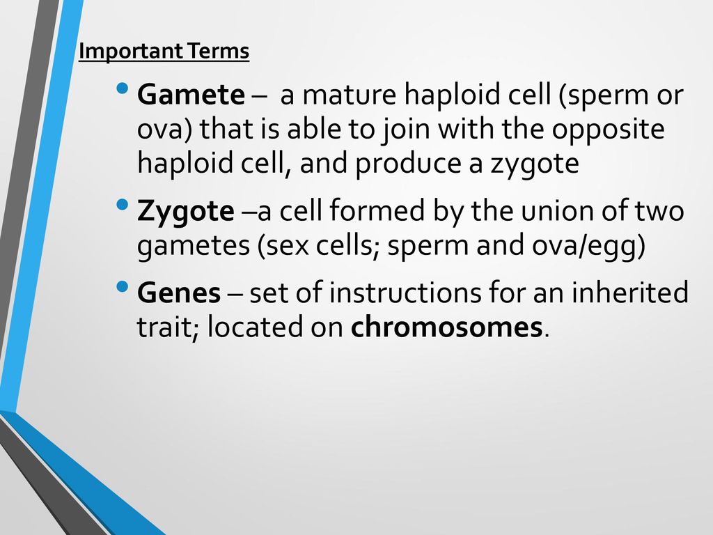 sexual-reproduction-ppt-download