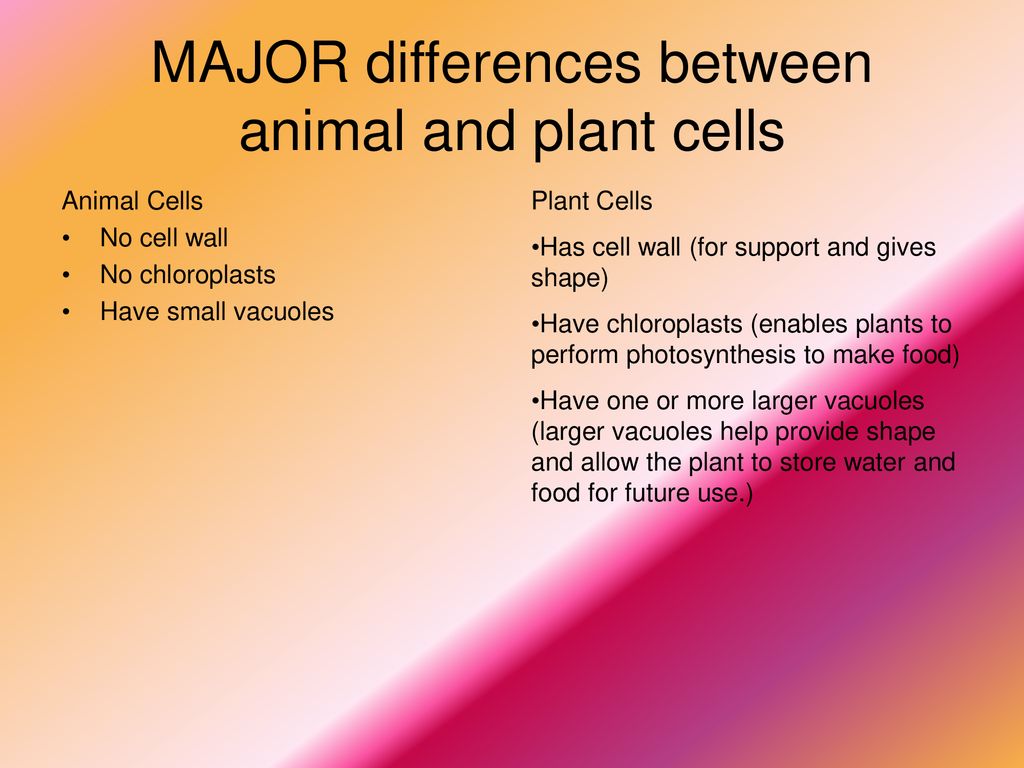 : Compare the major components of plants and animal cells. - ppt  download