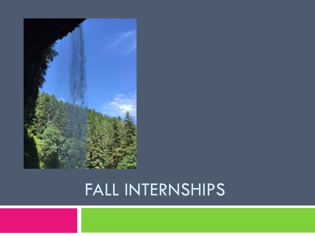Fall Internships. ppt download