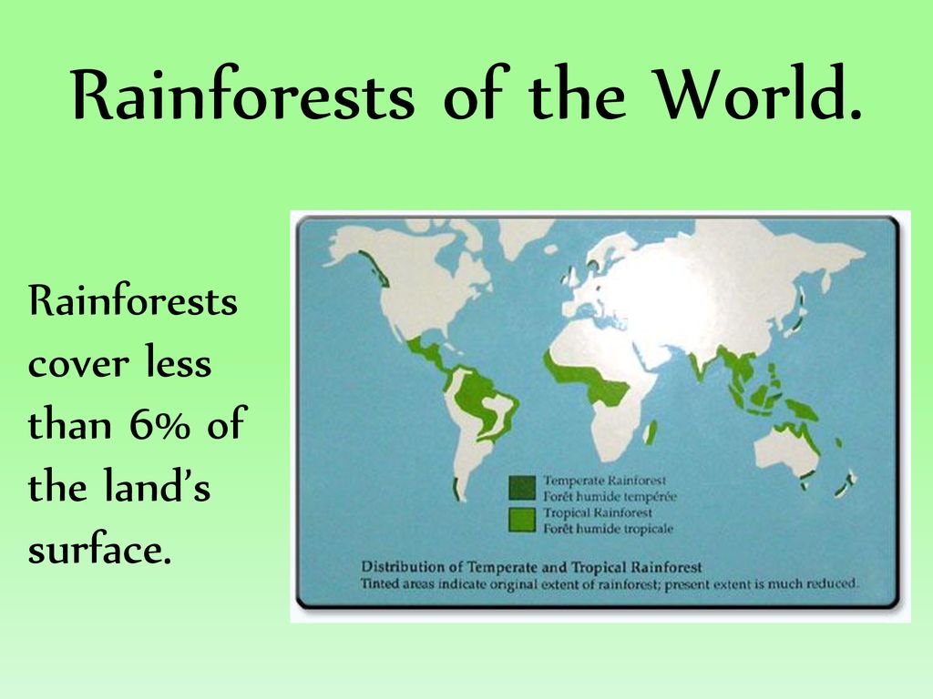 Rain Forests Ppt Download