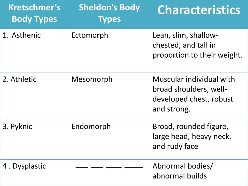 Kretschmer’s Body Types