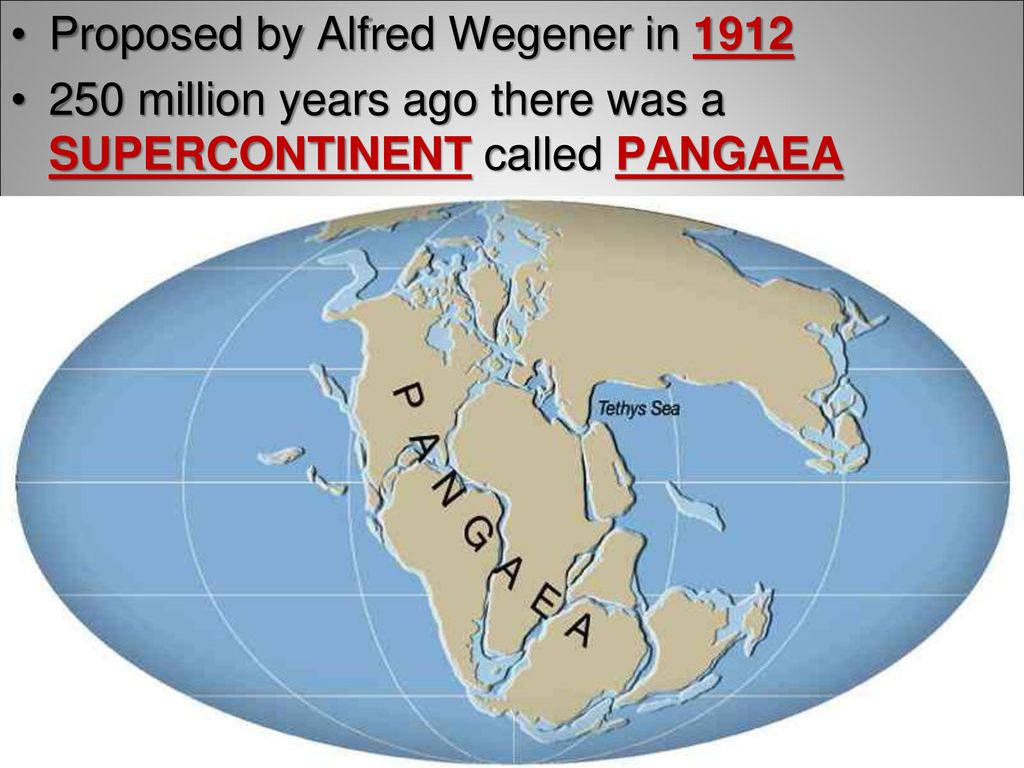 Островами похожими на материки. Суперконтинент Пангея. Праматерик Гондвана. Пангея материк. Карта земли Пангея.