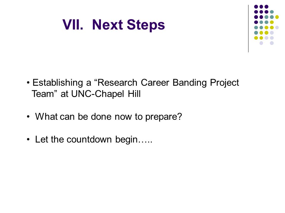 VII. Next Steps Establishing a Research Career Banding Project