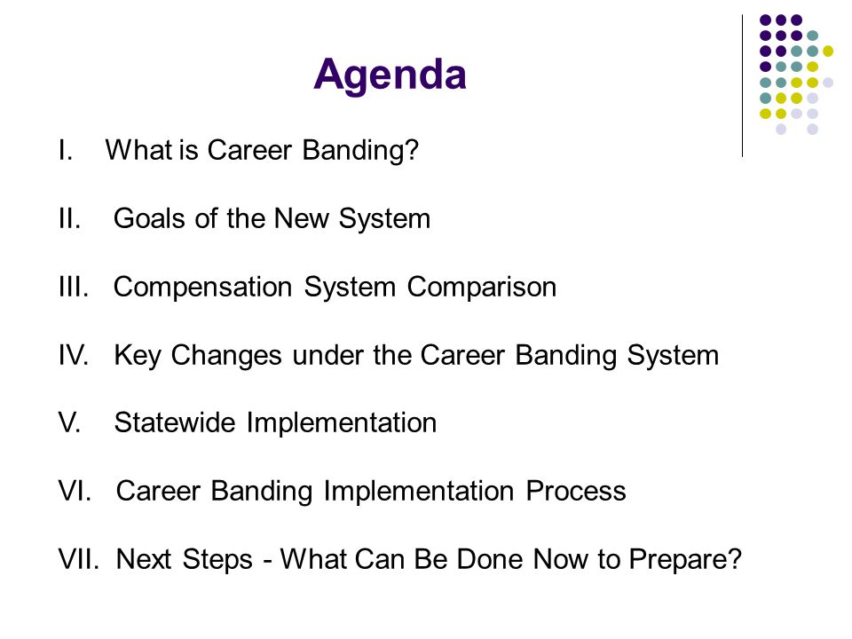 Agenda I. What is Career Banding II. Goals of the New System