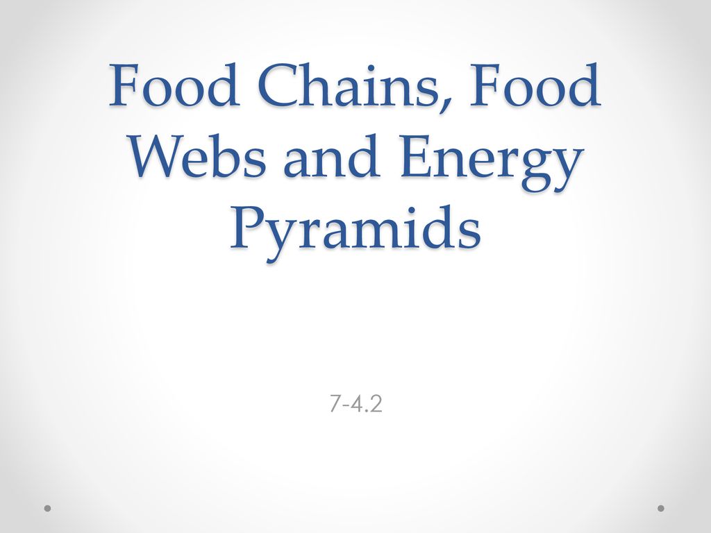 Food Chains, Food Webs and Energy Pyramids Biology Diagrams