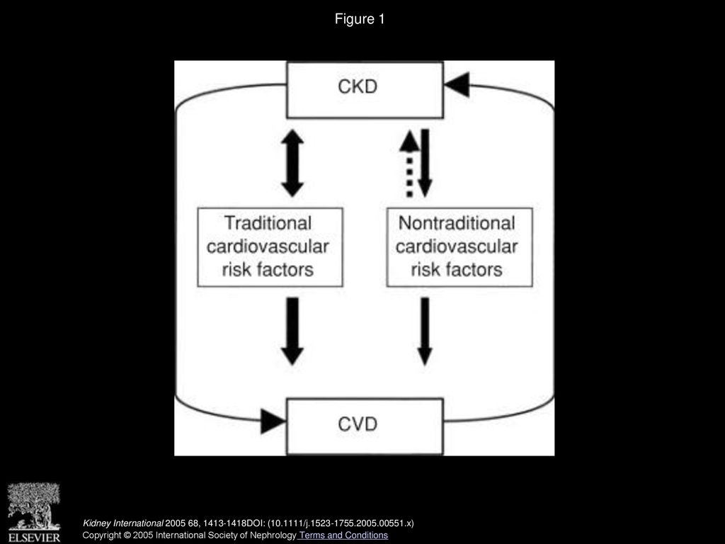 Cardiovascular risk factors in chronic kidney disease - ppt download