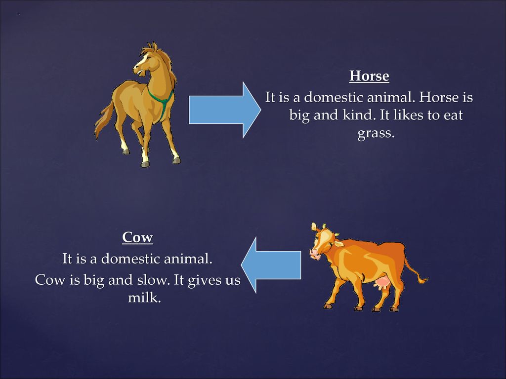 Wild and Domestic Animals - ppt download